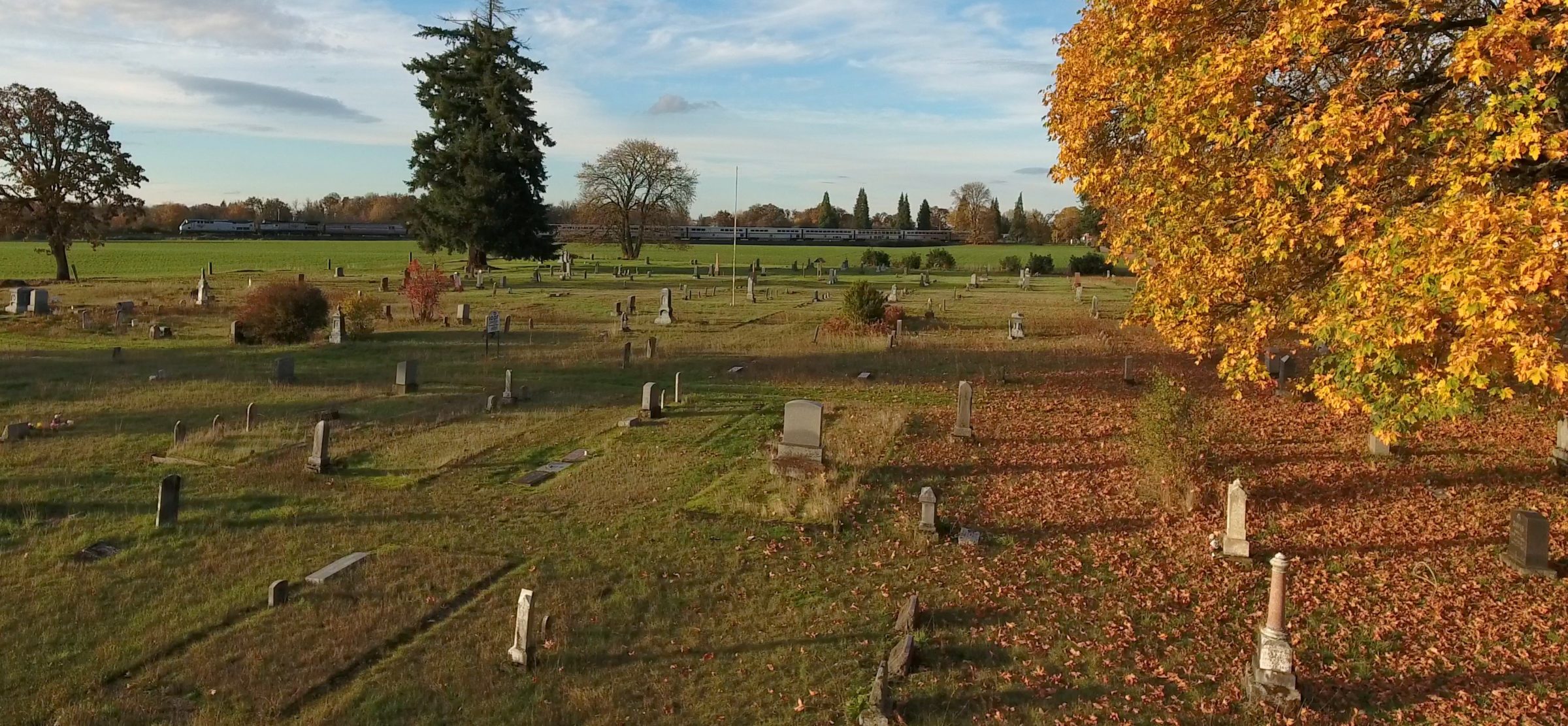 Photo of headstones in cemetery.