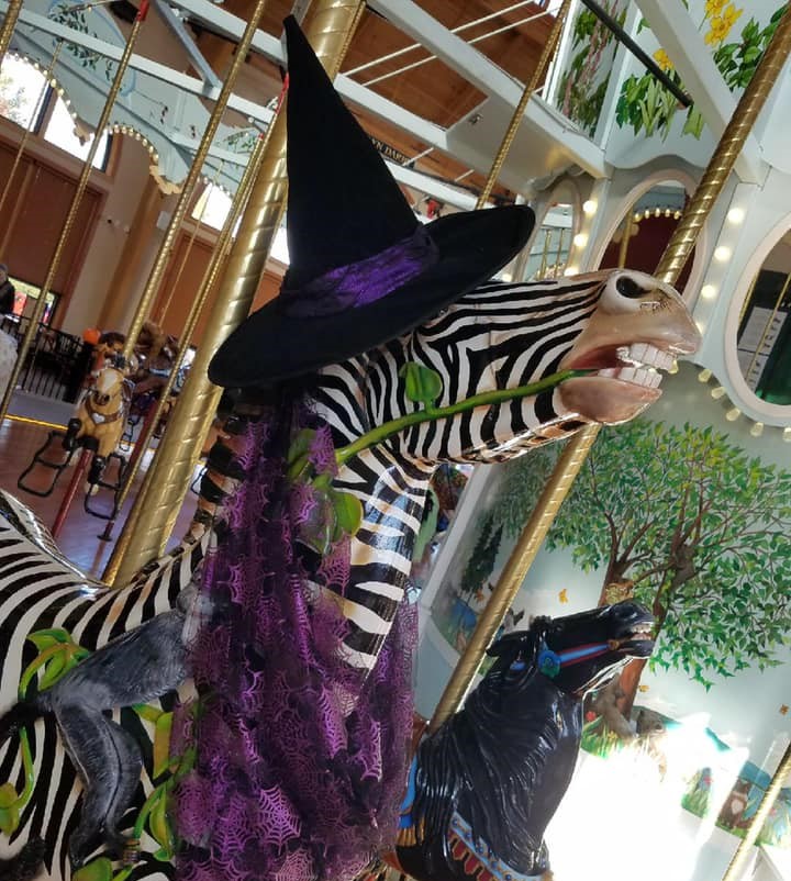Carousel zebra with witches hat.