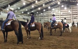 Northwest Buckskin Horse Club Show @ Linn County Expo Center | Albany | Oregon | United States