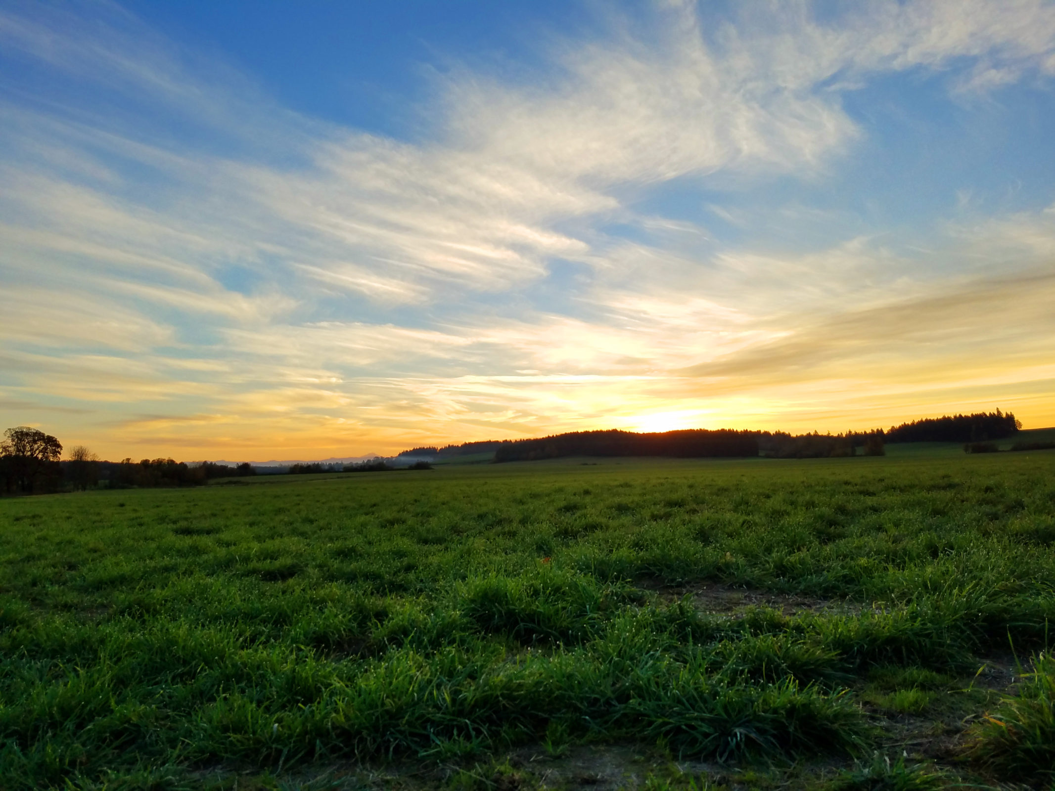 Photo of grass field and sunrise.