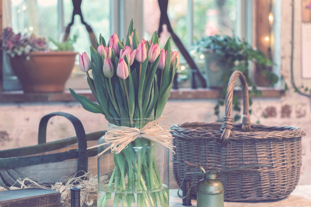 Photo of tulips in vase.