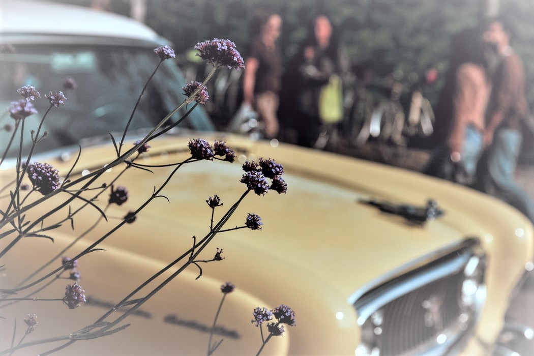 photo of old car and flowers