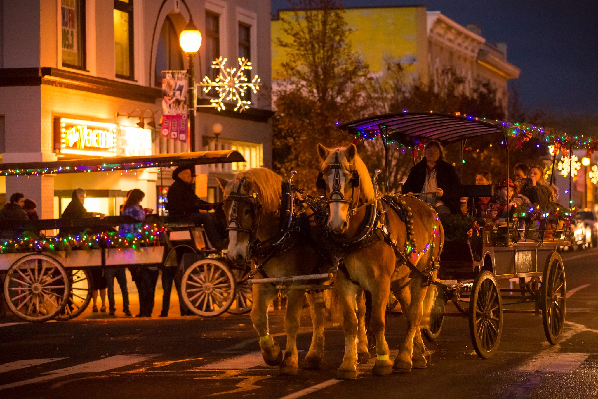 Photo of horse-drawn wagons decorated for Christmas Carling in Albany, OR. Photo by Anthony Shelar