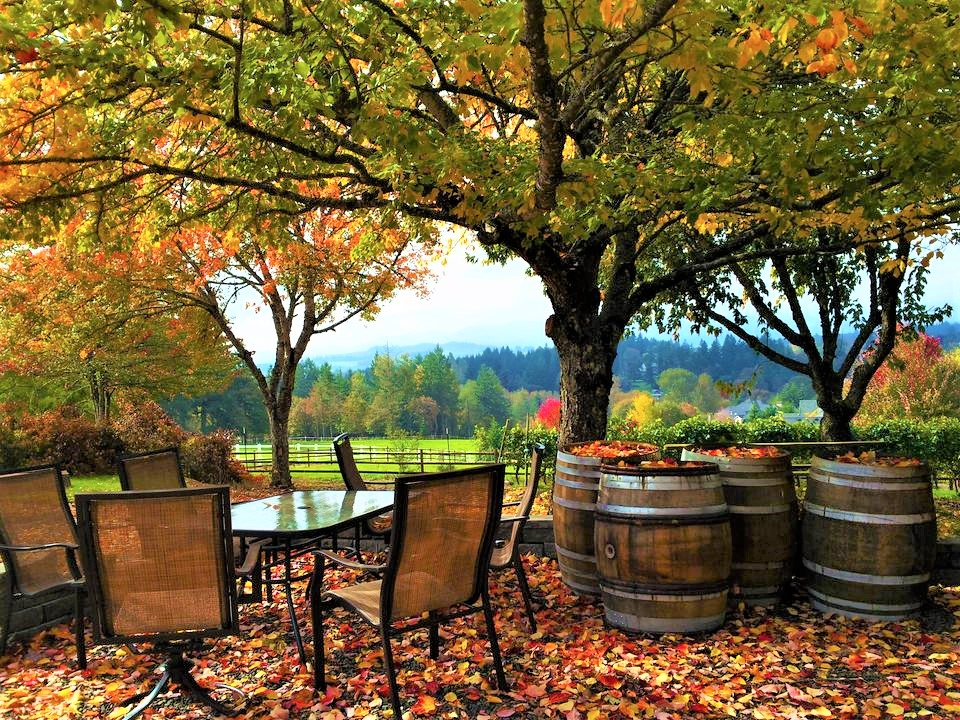 photo of patio at Springhill Cellars with fall leaves