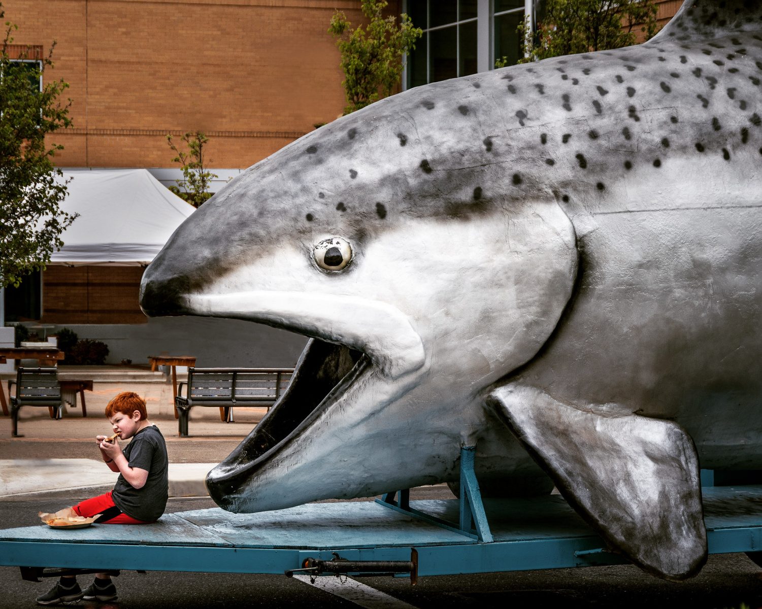 photo of a giant parade salmon about to "eat" a kid all in fun at the Albany Parade of the Species