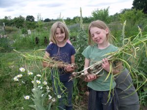 Two female children holding garlic picked at Mid-way Farms in Albany, Oregon