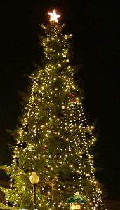 Christmas Tree & Wreath Sale @ Toland Tree Farm | Albany | Oregon | United States