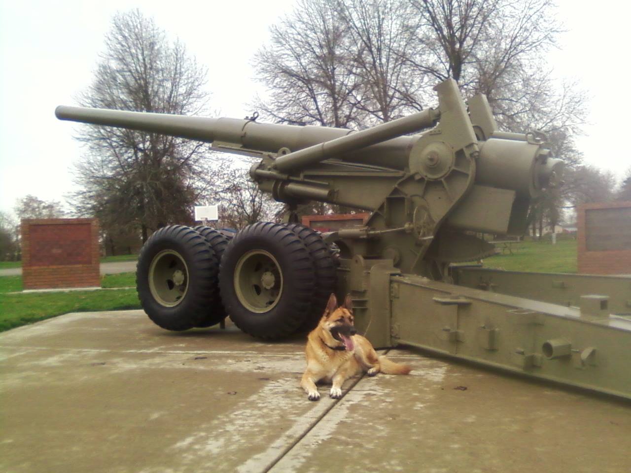 photo at Linn County Veterans Memorial with dog in front of howitzer
