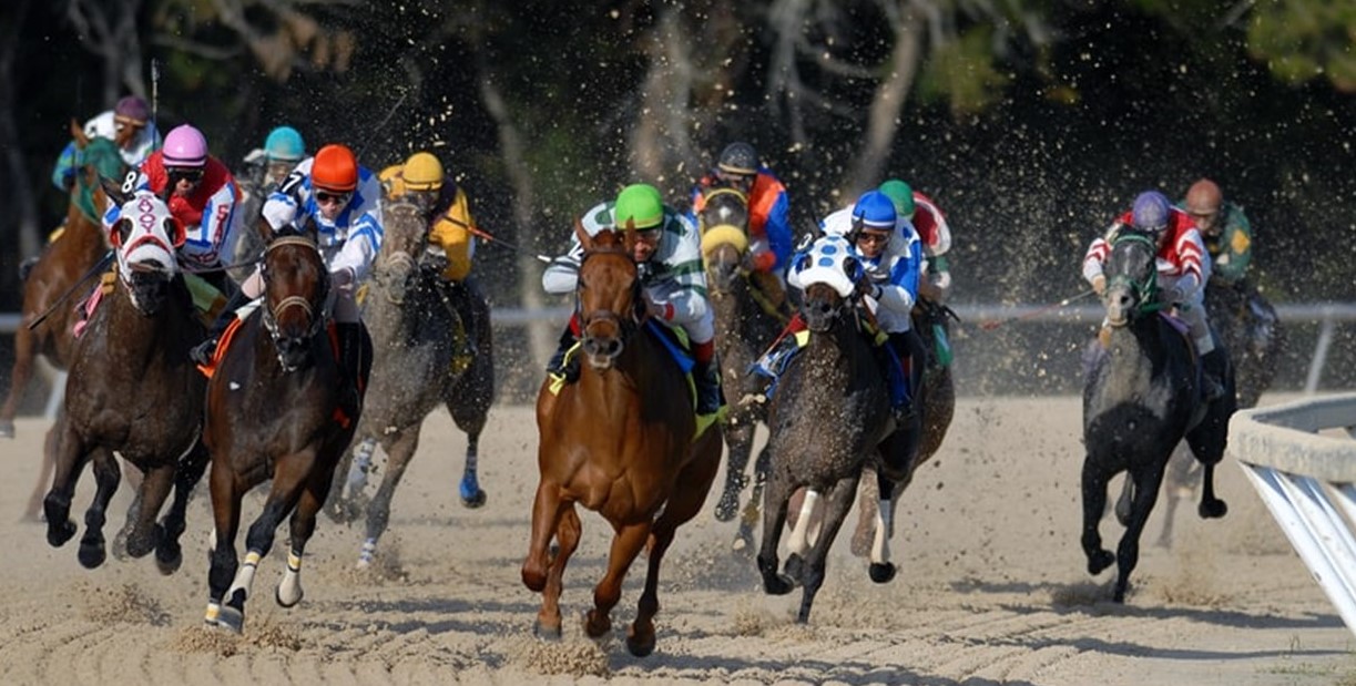 photo of horse race