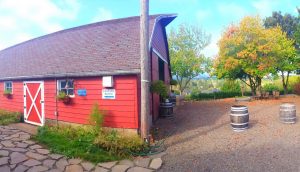 Federweisser Barn Dance @ Springhill Cellars Winery | Albany | Oregon | United States