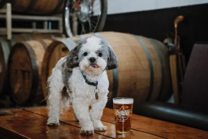 Paws & Claws Fundraising and Adoption Event @ Deluxe Brewing Company | Albany | Oregon | United States