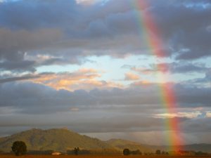 Rainbow Suncatcher @ Albany Public Library | Albany | Oregon | United States