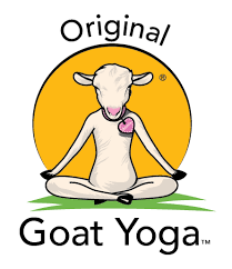 Original Goat Yoga @ No Regrets Farm and Sanctuary | Monroe | Oregon | United States